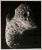 Asteroid Noir2